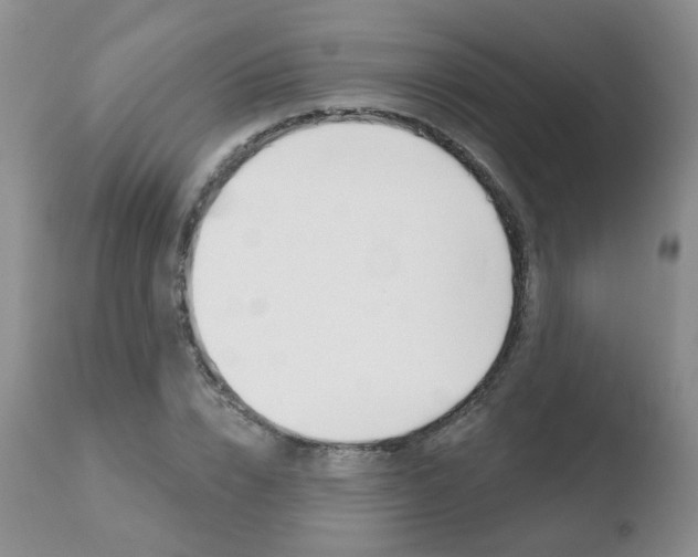 X0000110760832200906150928