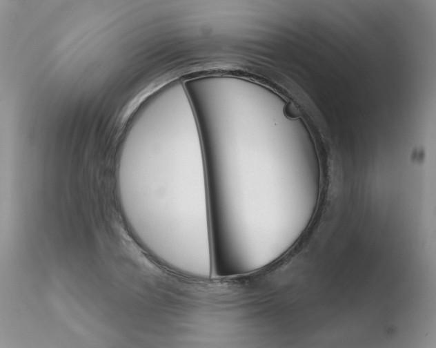X0000110760834200906150928