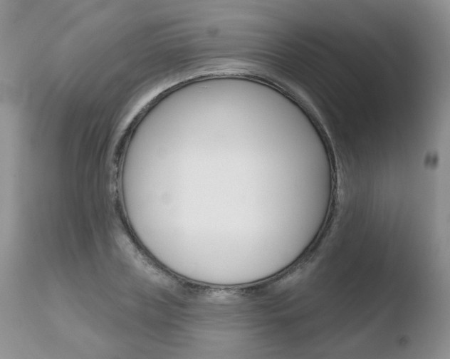 X0000110760835200906150928