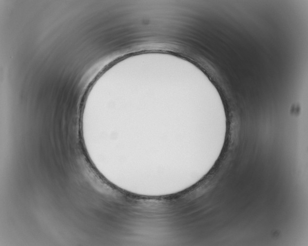 X0000110760836200906150928