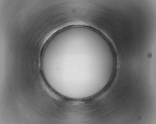 X0000110760837200906150928