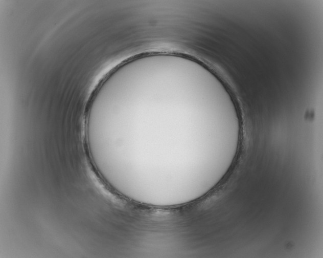 X0000110760839200906150928