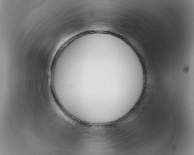 X0000110760840200906150928