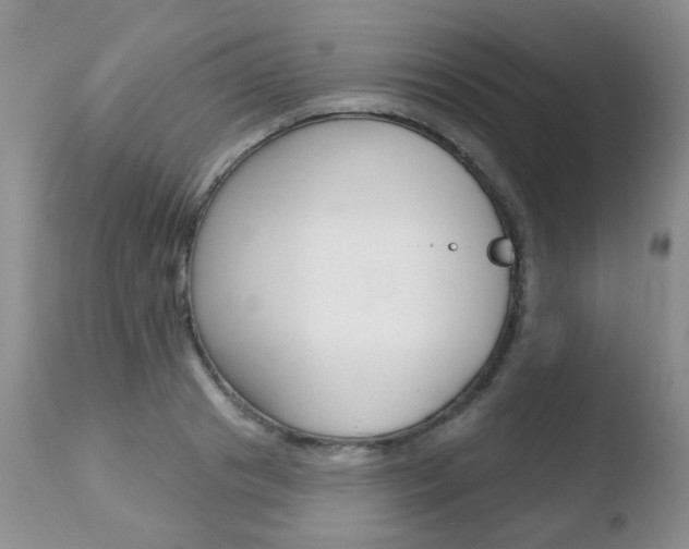 X0000110760841200906150928