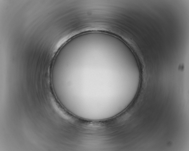 X0000110760842200906150928