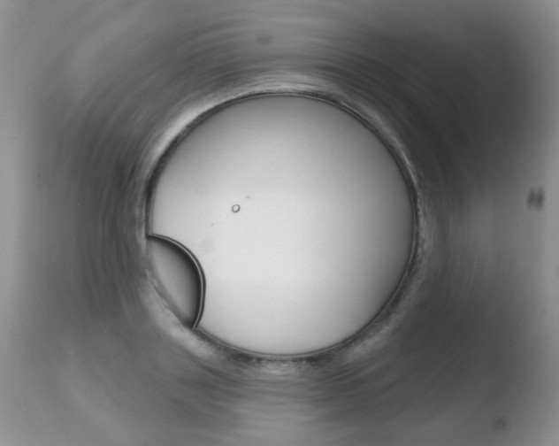 X0000110760843200906150928