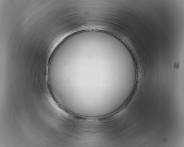 X0000110760844200906150928