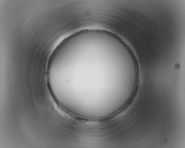 X0000110760845200906150928