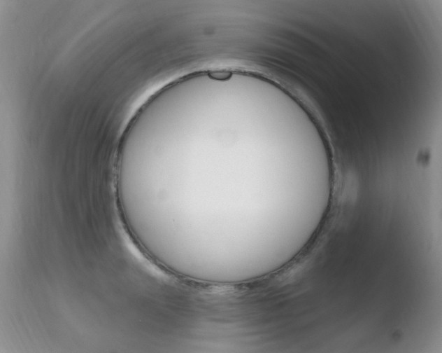 X0000110760847200906150928