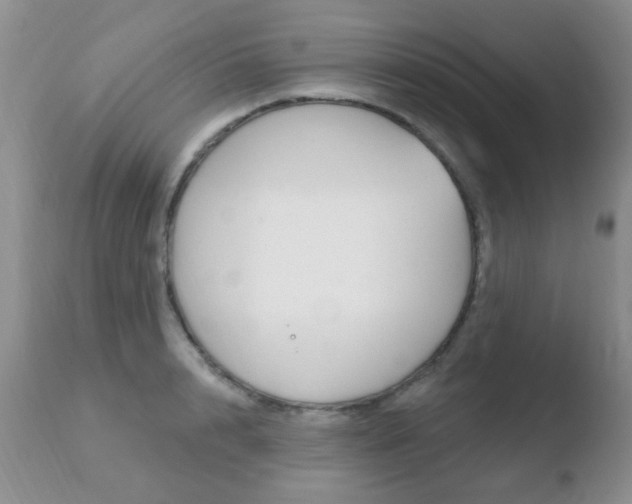 X0000110760848200906150928