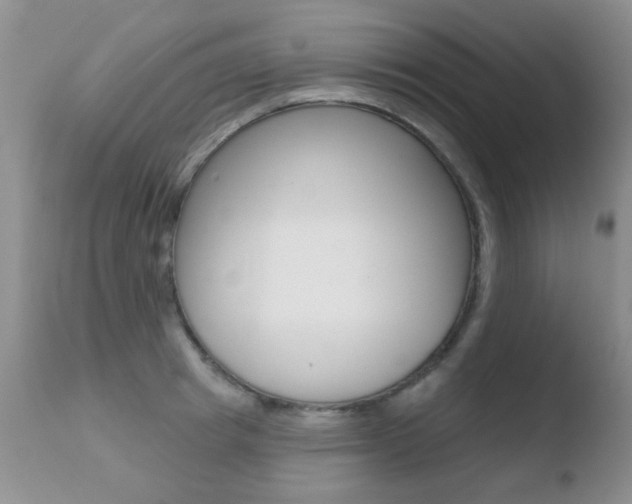 X0000110760849200906150928