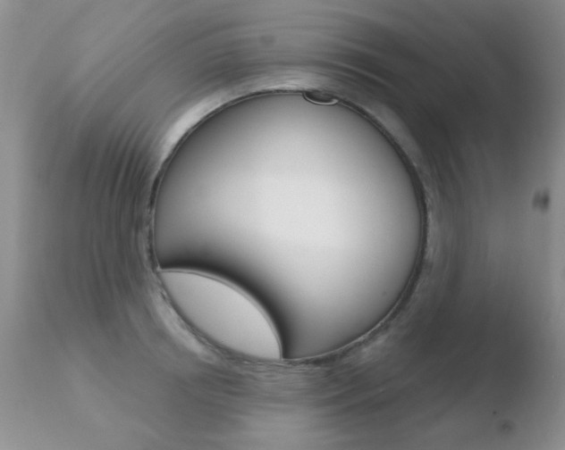 X0000110760850200906150928