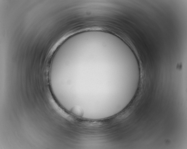 X0000110760851200906150928