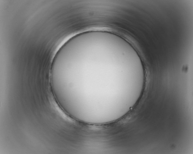 X0000110760852200906150928