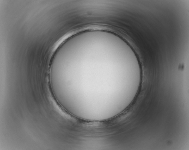 X0000110760853200906150928