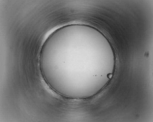 X0000110760854200906150928