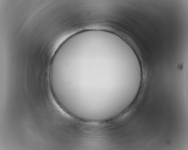 X0000110760855200906150928