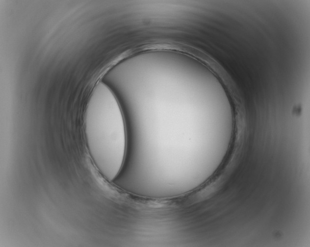 X0000110760857200906150928