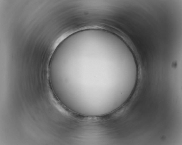 X0000110760858200906150928
