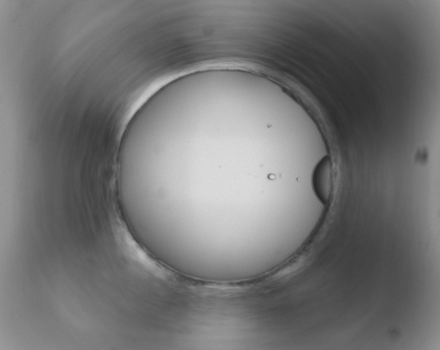 X0000110760860200906150928