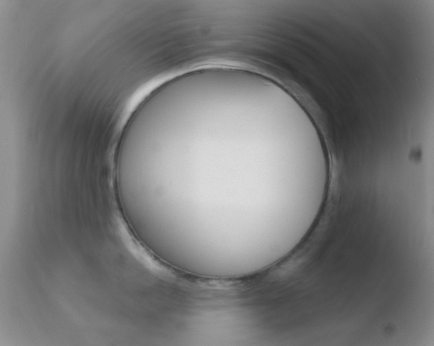 X0000110760862200906150928