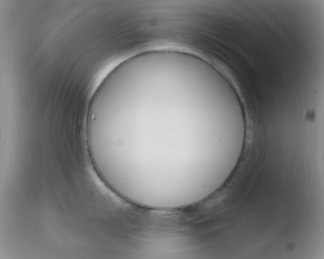 X0000110760863200906150928