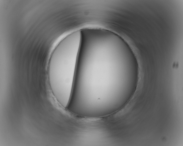 X0000110760864200906150928
