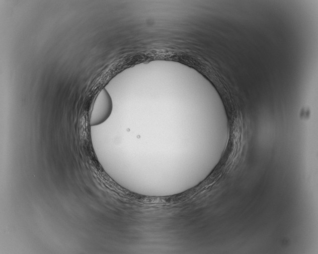 X0000110760866200906150927