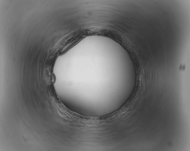 X0000110760868200906150927