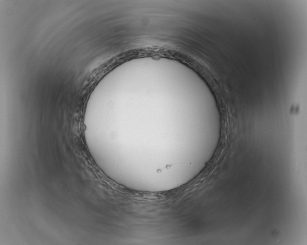 X0000110760869200906150927
