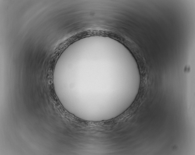 X0000110760870200906150927
