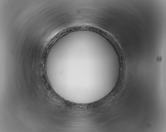 X0000110760871200906150927