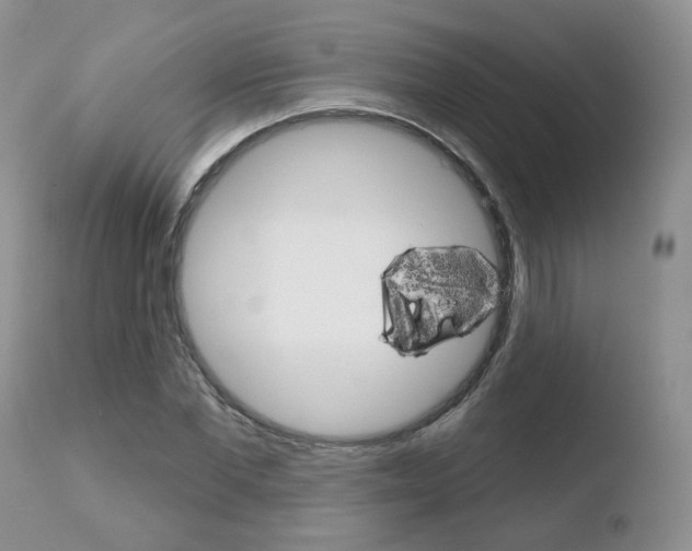 X0000110760877200906150927