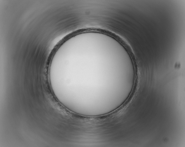 X0000110760879200906150927