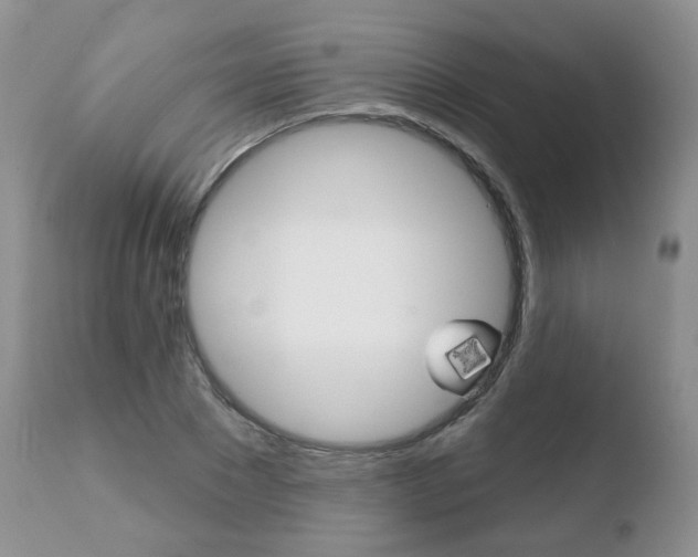 X0000110760881200906150927