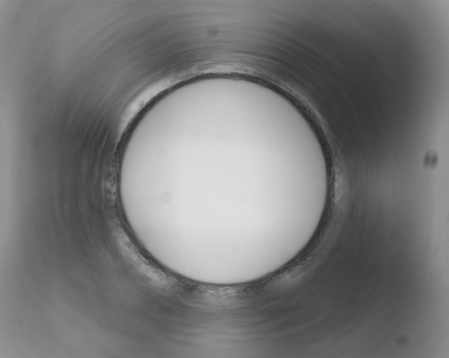 X0000110760882200906150927