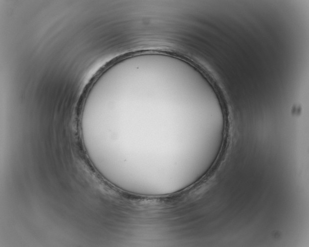 X0000110760883200906150927