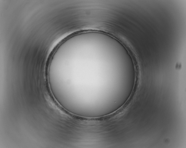 X0000110760884200906150927