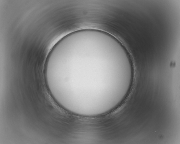 X0000110760885200906150927