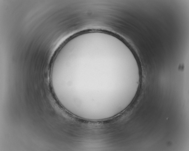 X0000110760887200906150927