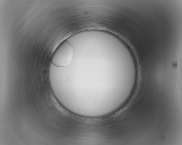 X0000110760889200906150927