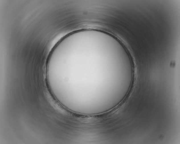 X0000110760891200906150927