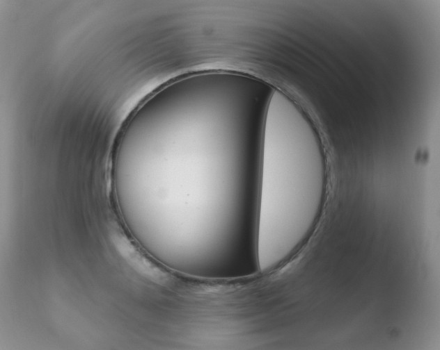 X0000110760892200906150927