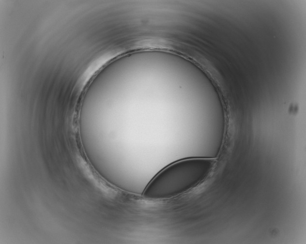 X0000110760893200906150927