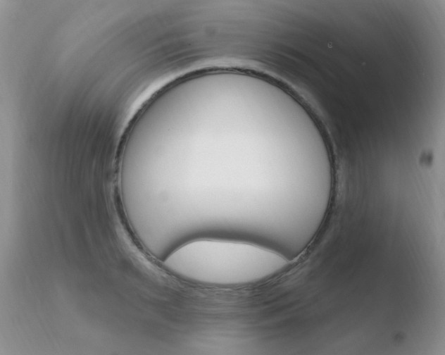 X0000110760895200906150927