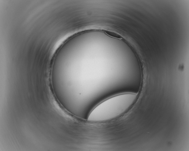 X0000110760896200906150927