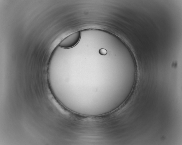 X0000110760898200906150927
