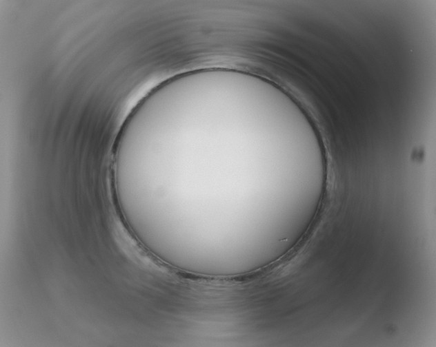 X0000110760899200906150927