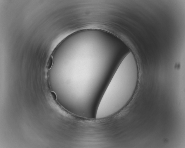 X0000110760900200906150927