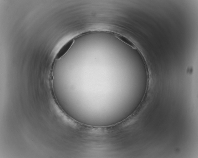 X0000110760901200906150927